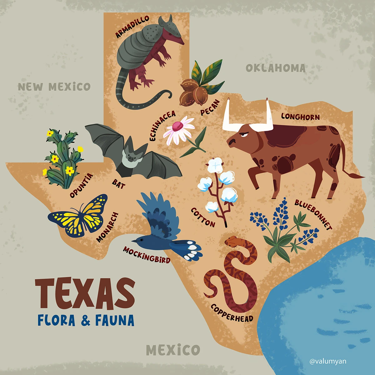 Animal friends looking at a map of Austin